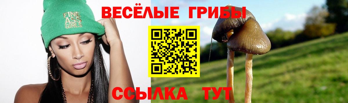 Псилоцибиновые грибы ЛСД Калининград
